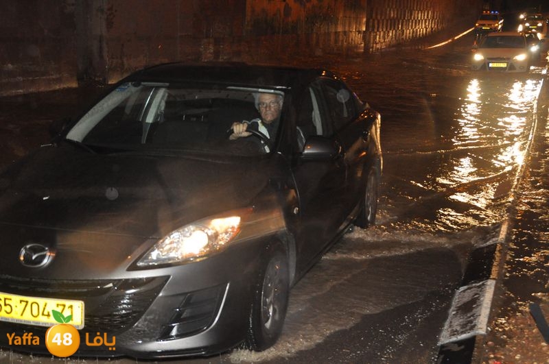 rain lud 1212 (13).JPG